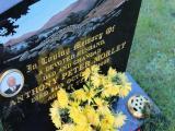 image of grave number 282275